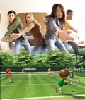 Nintendo Wii Hire
