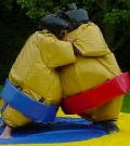 Sumo Wrestling