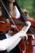 Bollywood String Quartet