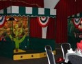 Cactus Lasso Funfair Stall