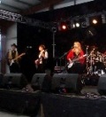 Themed Musicians