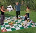 Giant Snakes & Ladders
