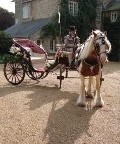 Horse Drawn Carriage
