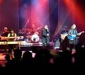 The Q-Band, Bee Gees Tribute Band