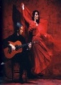 Viva Flamenco