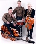 Wild, Live Function Band